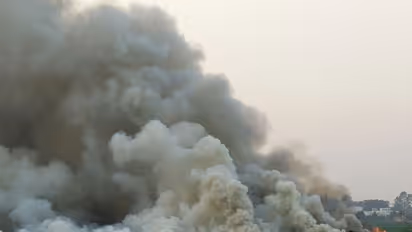 Bengaluru's Bellandur lake catches fire, yet again