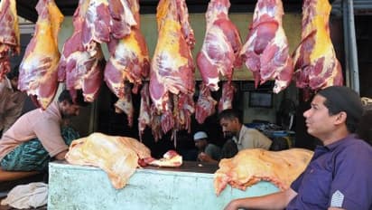 "இனி இறைச்சிக்காக மாடுகளை விற்கக் கூடாது" - மத்திய அரசு திடீர் உத்தரவு