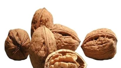  పిల్లలకు వాల్ నట్స్ పెట్టొచ్చా..?