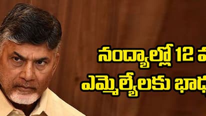 నంద్యాల్లో 12 మంది ఎంఎల్ఏలకు బాధ్యతలా?