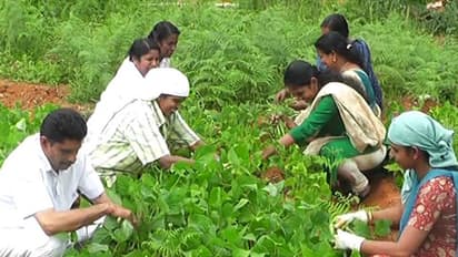 ആതുരസേവനത്തില് മാത്രമല്ല പച്ചക്കറി കൃഷിയിലും ഇവര് മിടുക്കര്