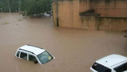 'Modi ka tairta hua Gujarat model': Congress takes dig at BJP, shares videos amid devastating floods (Watch)