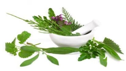 சிலவகை மூலிகை நீர்களும், அதன்அற்புதமான பயன்களும்…