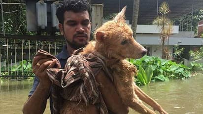 വെള്ളത്തിൽ മുങ്ങിയിട്ടും കാവലാളായി അവനെന്നും-വീഡിയോ