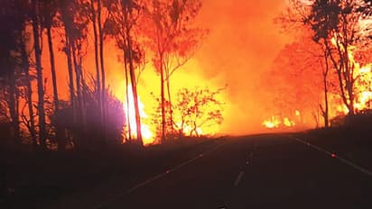 ರಾಜ್ಯದಲ್ಲಿ ಈ ಬಾರಿಯ ಕಾಡ್ಗಿಚ್ಚು ಇತಿಹಾಸದಲ್ಲೇ 3ನೇ ಅತಿದೊಡ್ಡದು