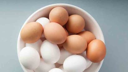 ಮೊಟ್ಟೆಯೊಳಗೊಂದು ಮೊಟ್ಟೆ - ಅಚ್ಚರಿ..!