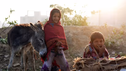 How much donkey milk are you drinking? This MP wants to know