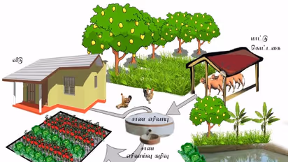 ஒருங்கிணைந்த பண்ணையம் எப்படி நடைமுறைப்படுத்தப்படுகிறது? மண்டல வாரியான பண்ணைய தகவல்கள் இதோ...