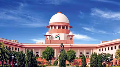 Judicial overreach disturbs the constitutional scheme of things