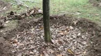 மூடாக்கு என்றால் என்ன? என்னென்ன வகைகள் இருக்கு? பயன்கள் என்ன? தெரிஞ்சுக்குங்க...