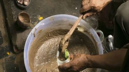 கூடுதல் வளர்ச்சி கிடைக்க பஞ்சகவ்யத்தை நீங்களே தயாரித்து வயலுக்கு தெளியுங்கள்...