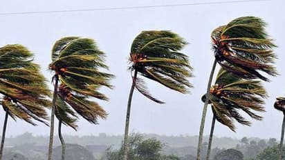 ശക്തമായ കാറ്റിന് സാധ്യത; മത്സ്യത്തൊഴിലാളികള്ക്ക് ജാഗ്രതാ നിര്ദ്ദേശം