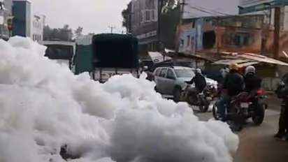Varthur Lake bubbles with toxic foam, but BDA helpless as usual