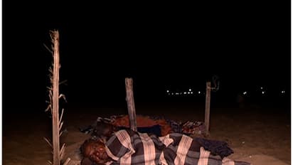 തെരുവ് നായ്ക്കളെ പേടിച്ച് ഒരു നാട് മുഴുവന് ഉറങ്ങാതിരിക്കുന്നു