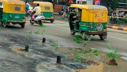 హైదరాబాద్ లో ఇది కొత్త రకం హరితహారం