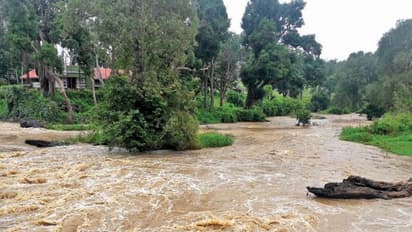 தொடர் மழையால் மாயார் ஆற்றில் வெள்ளப்பெருக்கு; வறட்சியால் தவித்த முதுமலை காடு புத்துயிர் பெற்றது…