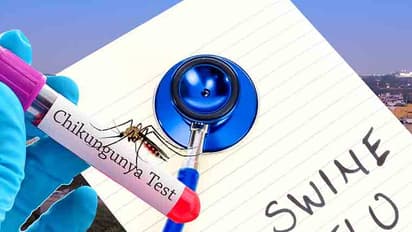 ಹಂದಿ ಜ್ವರಕ್ಕೆ ಬಲಿಯಾದ ಬಿಜೆಪಿ ಶಾಸಕಿ