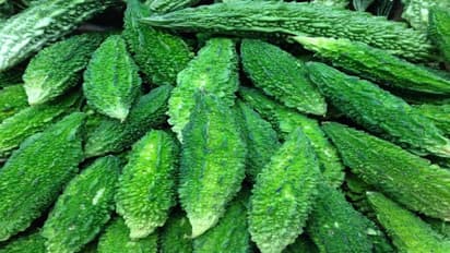 தெரிந்து கொள்ளுங்கள்: பாம்பு விஷத்தை பாகற்காய் முறிக்கும்…