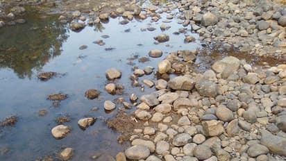 വേനല് കടുക്കുന്നു; കാസര്കോട് വറ്റിവരളുന്നു