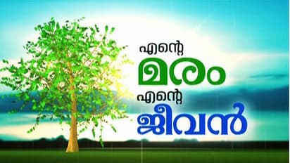 Chipko-model tree-hugging event in Kerala, all set to create a world record