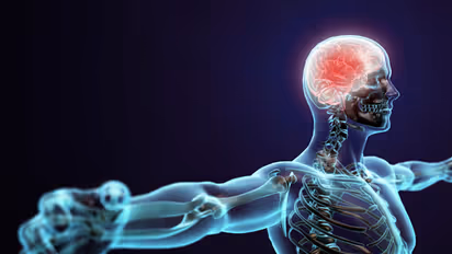 ಮೊಣಕೈಗೆ ಏನಾದರೂ ತಾಗಿದಾಗ ಶಾಕ್‌ ಹೊಡೆದ ಅನುಭವ ಆಗೋದ್ಯಾಕೆ?