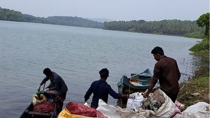 അകലാപ്പുഴ ഇനി ഒഴുകും; മാലിന്യം തട്ടാതെ