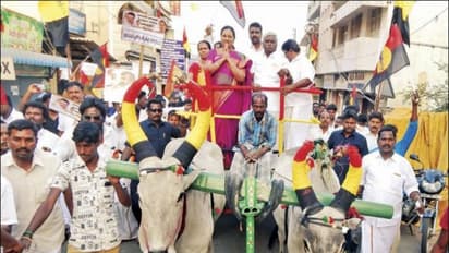 எங்களுக்கு பயந்தே ஆட்சியாளர்கள் பேருந்து கட்டணத்தை குறைத்துள்ளனர் - கேப்டனையே மிஞ்சும் மிசஸ்.கேப்டன்...