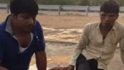 'Beef transporters' forced to eat cow dung by Hindu vigilantes