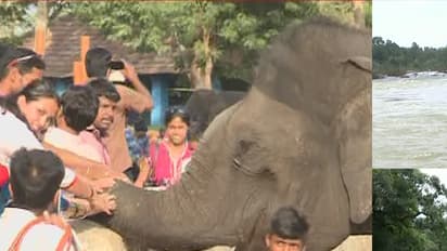 ದುಬಾರೆ ಆನೆ ಶಿಬಿರದಲ್ಲೀಗ ಹೊಸ ಲೋಕ ಅನಾವರಣ: ವೀಕೆಂಡ್ ಪ್ರಿಯರಿಗೆ ಫೇವರಿಟ್ ಸ್ಪಾಟ್