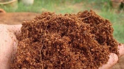 மக்க வைப்பதற்குத் தேவையான உயிர் உள்ளீடுகள் என்னென்ன தெரியுமா?