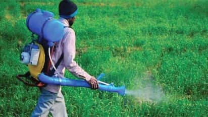 பூச்சிக்கொல்லிகளின் எஞ்சிய நஞ்சு உணவுப் பொருளில் இருக்கு; அதுவும் 50% மேல…