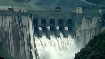 indus valley treaty_Treaty