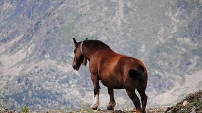 ജീവിതത്തിലേക്ക് ഒരു ഹെലികോപ്റ്റര്