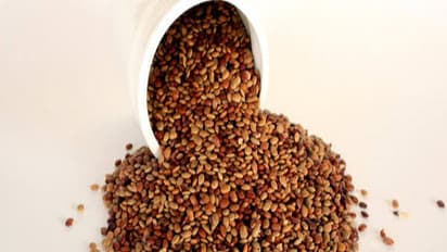 கொழுப்பைக் குறைக்கும் கொள்ளின் மற்ற அற்புத பலன்கள்…