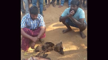 Police apprehend two people selling dog meat to restaurants in AP