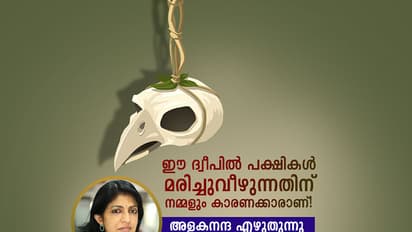 ഈ ദ്വീപില് പക്ഷികള് മരിച്ചുവീഴുന്നതിന് നമ്മളും കാരണക്കാരാണ്!