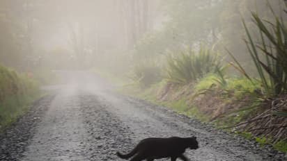 Indian superstitions and the logical explanation behind it