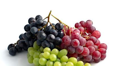 ಪ್ರತಿ ನಿತ್ಯ ಈ ಹಣ್ಣನ್ನ ತಿಂದರೆ ದೃಷ್ಟಿದೋಶ ದೂರ ದೂರ..! ತಮಾಷೆಯಲ್ಲ ಸಂಶೋಧನೆಯ ವರದಿ