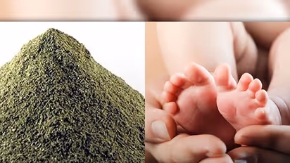 Nilavembu: Drug claims to cure dengue, but could leave you childless