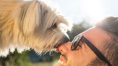 ഒളിക്കേണ്ട: നായകള്ക്ക് എല്ലാം അറിയാം