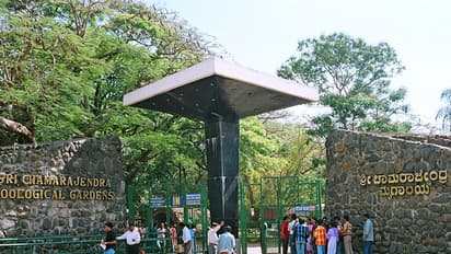 Silent tragedy at Mysuru Zoo: 467 animals dead in 7 yrs