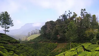 ഇടുക്കിയിലെ ഭൂമി പ്രശ്നം തീർക്കാൻ പുതിയ ഭൂനയം പ്രഖ്യാപിച്ച് സർക്കാർ