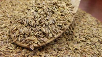 ஓமத்தில் அடங்கியுள்ள அற்புத மருத்துவ பண்புகள்…