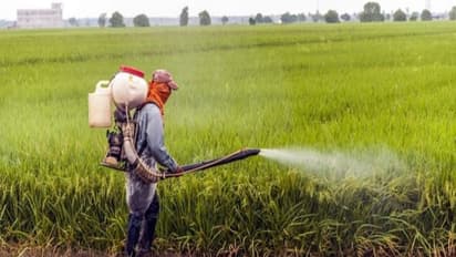 பூச்சிக் கொல்லியால் ஏற்படும் உயிரிழப்பை தடுப்பதற்கான முன்னெச்சரிக்கைகள் நடவடிக்கைகள் இதோ...