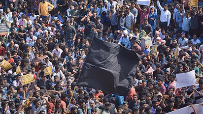 With Kamal, Rajni support, Jallikattu protests here to stay