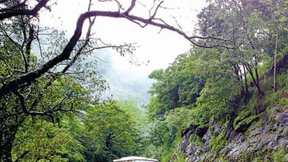 ಶಿರಾಡಿ ಘಾಟ್ ದುರಸ್ತಿಗೆ ಎಷ್ಟು ದಿನ ಬೇಕು? ಸರ್ಕಾರಕ್ಕೆ ಒಂದೇ ಪ್ರಶ್ನೆ