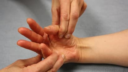 உங்களுக்குத் தெரியுமா? கையின் மணிக்கட்டு இணைப்பில் பங்கெடுக்கும் ஐந்து தசைகளில் ஒன்று பால்மாரிஸ் லோங்கஸ்...