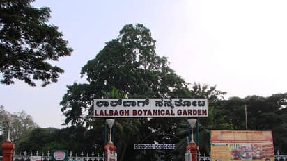 Lalbagh Flower Show: ಜ.19ರಿಂದ ಲಾಲ್‌ಬಾಗ್‌ನಲ್ಲಿ ಅದ್ಧೂರಿ ಫಲಪುಷ್ಪ ಪ್ರದರ್ಶನ
