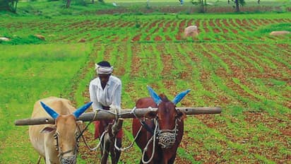 पीएम किसान योजनाः 2000 रुपये की पहली किस्त की तैयारी शुरू, आधार जरूरी नहीं