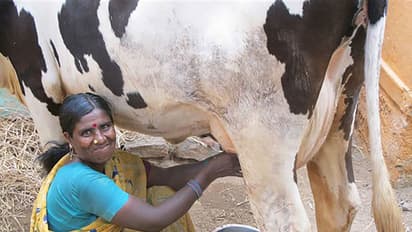 Tamil Nadu minister vows to expose private companies adulterating milk